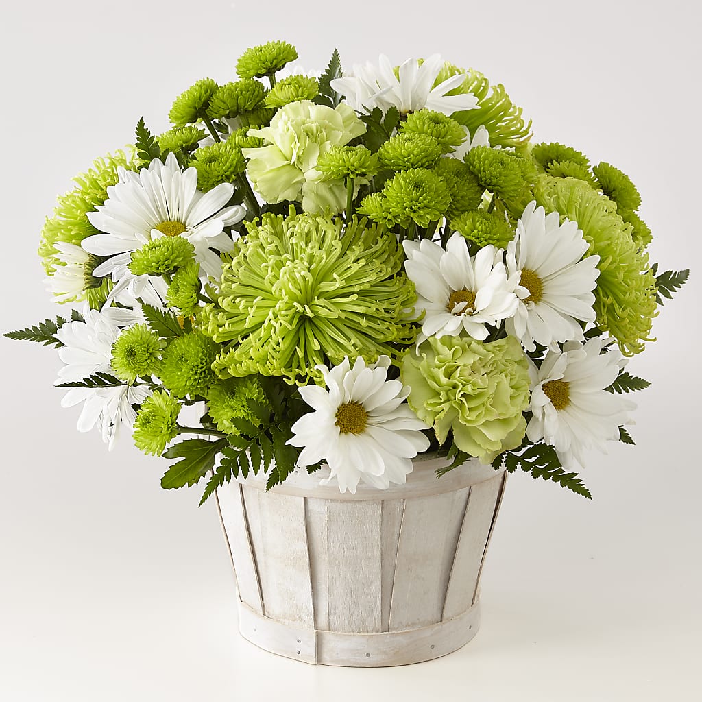Lucky Charm Basket (Standard) – My Enchanted Florist, Sandy Spring MD