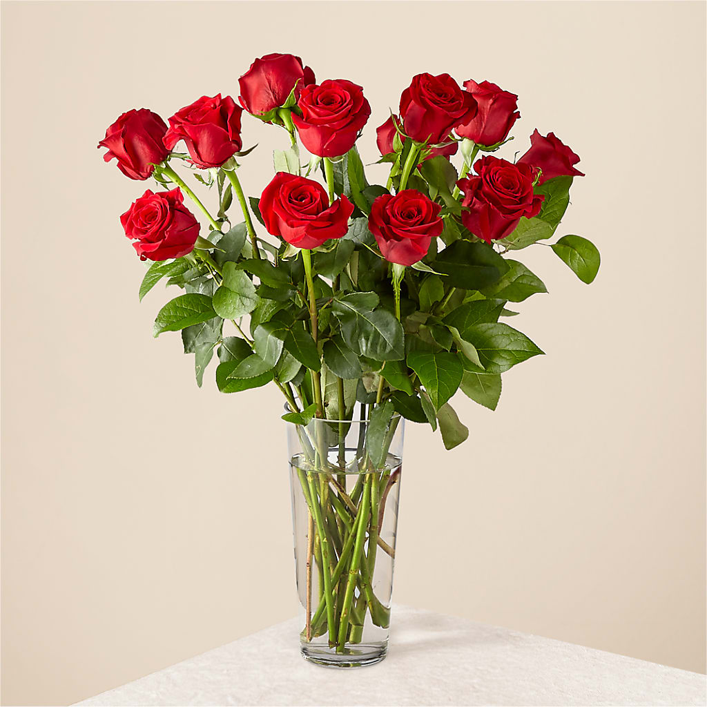 Long Stem Red Rose Bouquet – My Enchanted Florist, Sandy Spring MD