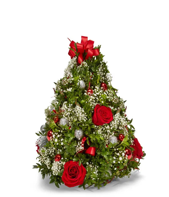 Boxwood Tree – My Enchanted Florist, Sandy Spring MD