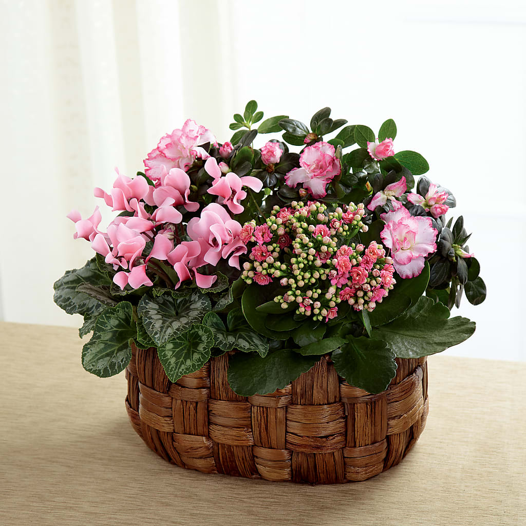 Pink Assortment – My Enchanted Florist, Sandy Spring MD