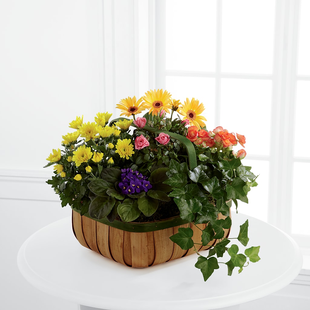 Gentle Blossoms Basket – My Enchanted Florist, Sandy Spring MD