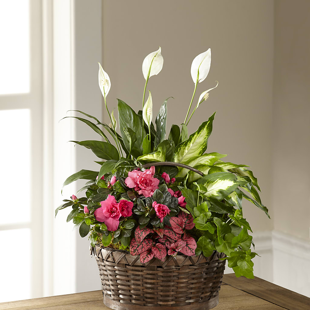 Dream in Pink Dishgarden – My Enchanted Florist, Sandy Spring MD