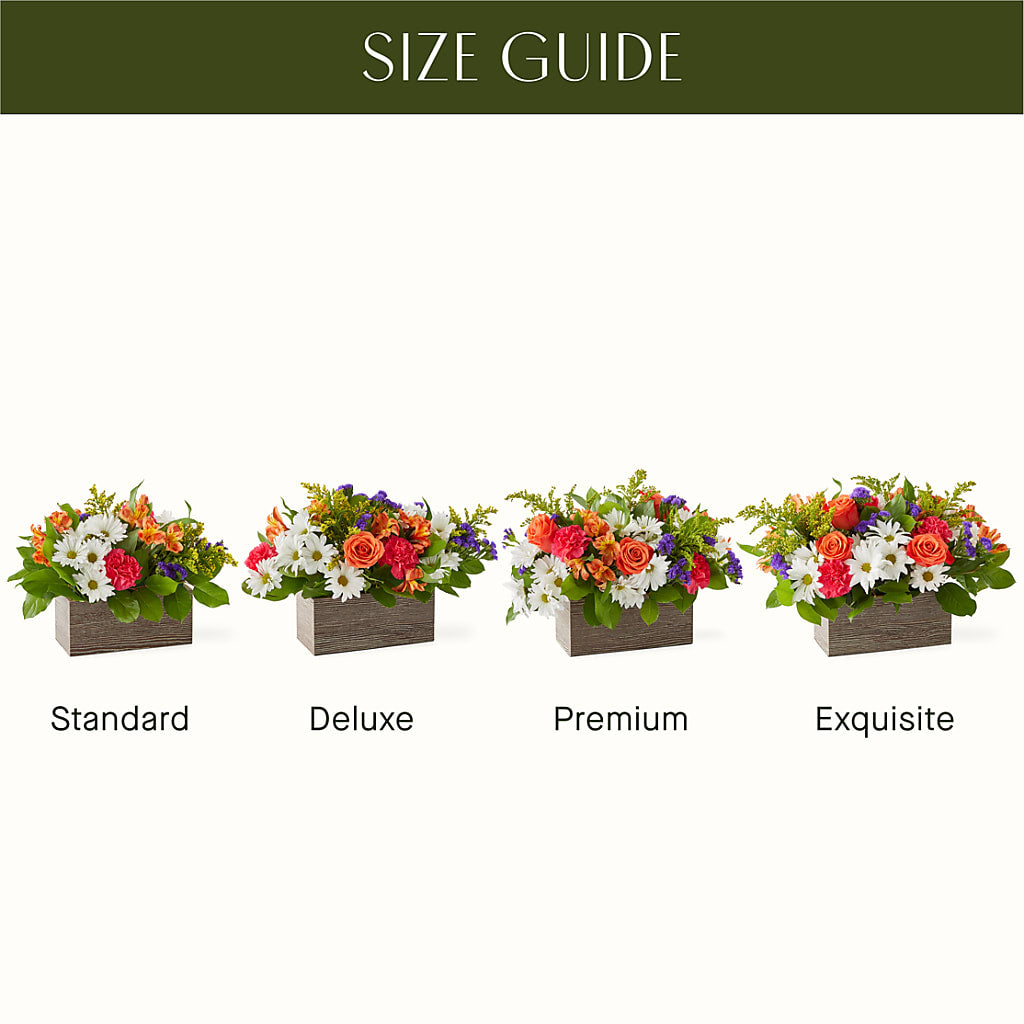 Oopsie Daisy Box Bouquet – My Enchanted Florist, Sandy Spring MD