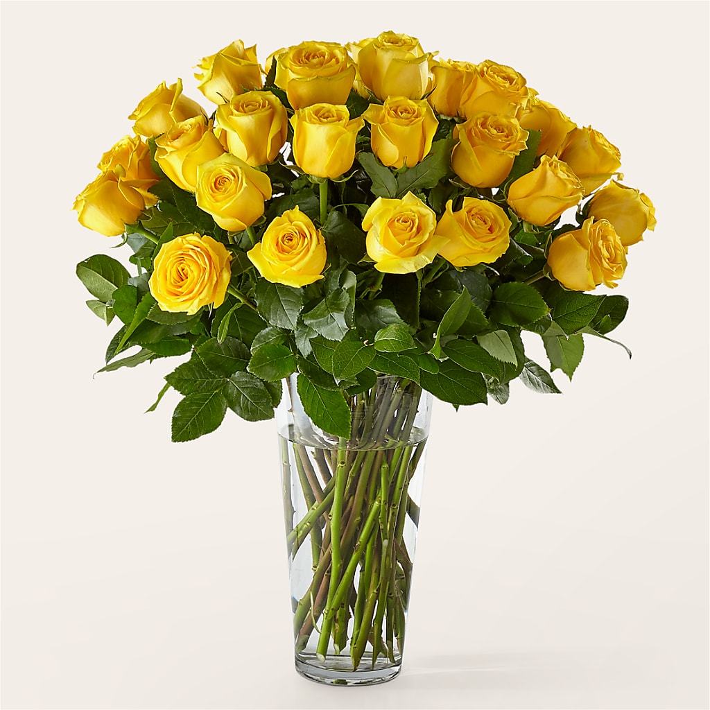 Long Stem Yellow Rose Bouquet – My Enchanted Florist, Sandy Spring MD