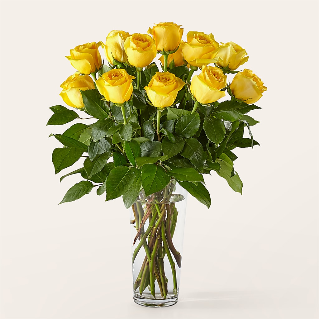 Long Stem Yellow Rose Bouquet – My Enchanted Florist, Sandy Spring MD