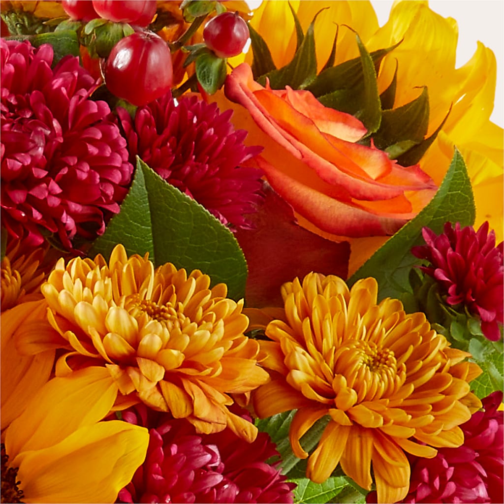 Sweater Season - A Florist Original – My Enchanted Florist, Sandy Spring MD
