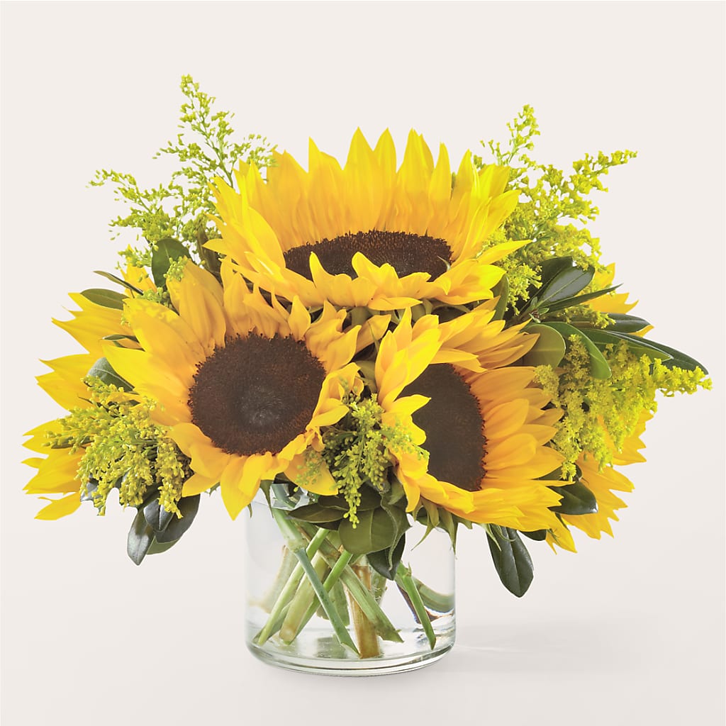 Beaming Sunflower Bouquet – My Enchanted Florist, Sandy Spring MD