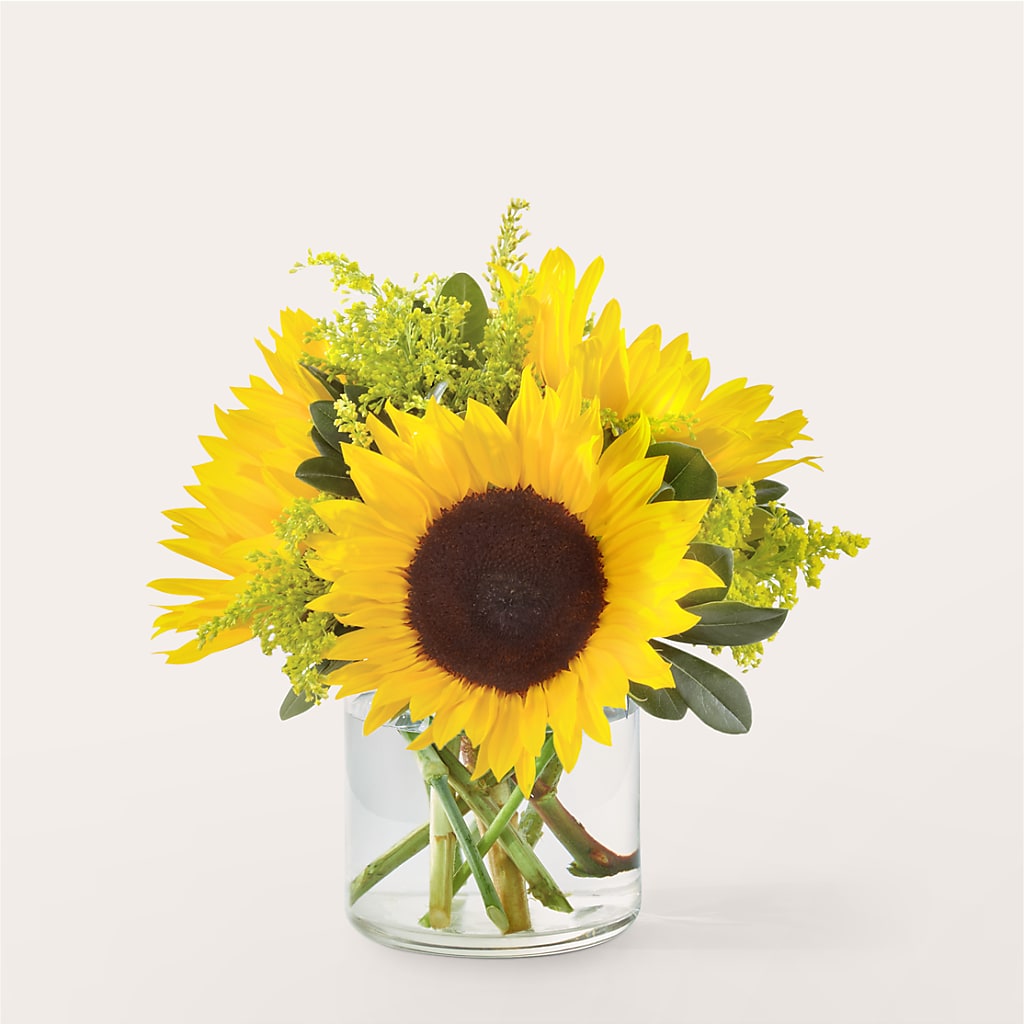 Beaming Sunflower Bouquet – My Enchanted Florist, Sandy Spring MD
