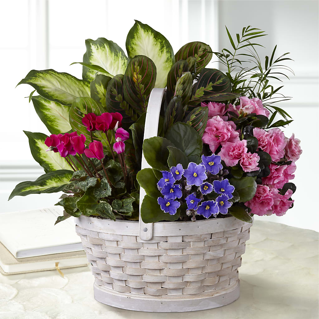 Peaceful Garden Planter – My Enchanted Florist, Sandy Spring MD
