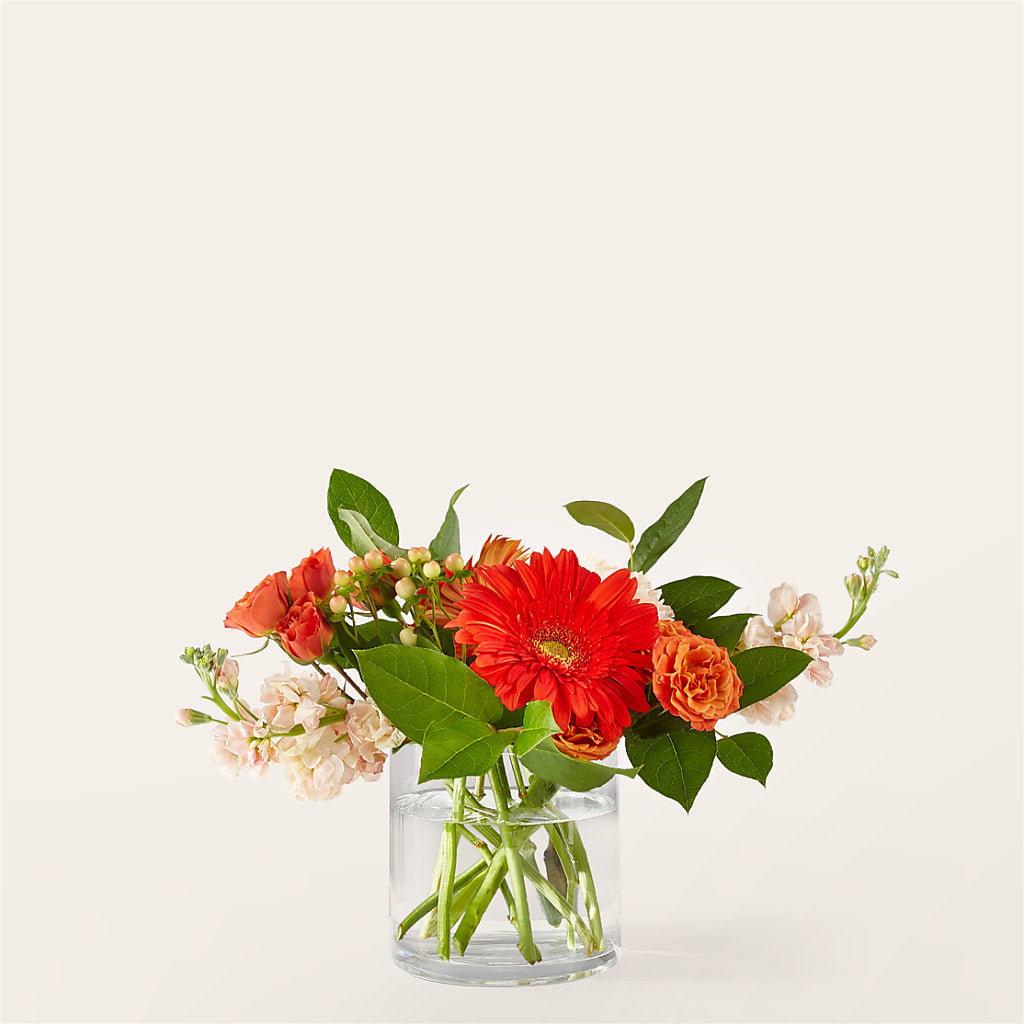 Paloma Please Bouquet – My Enchanted Florist, Sandy Spring MD
