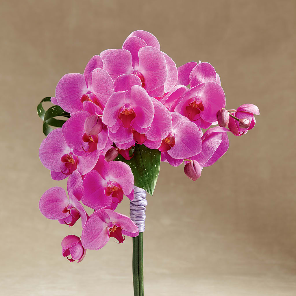 Glorious Bouquet – My Enchanted Florist, Sandy Spring MD