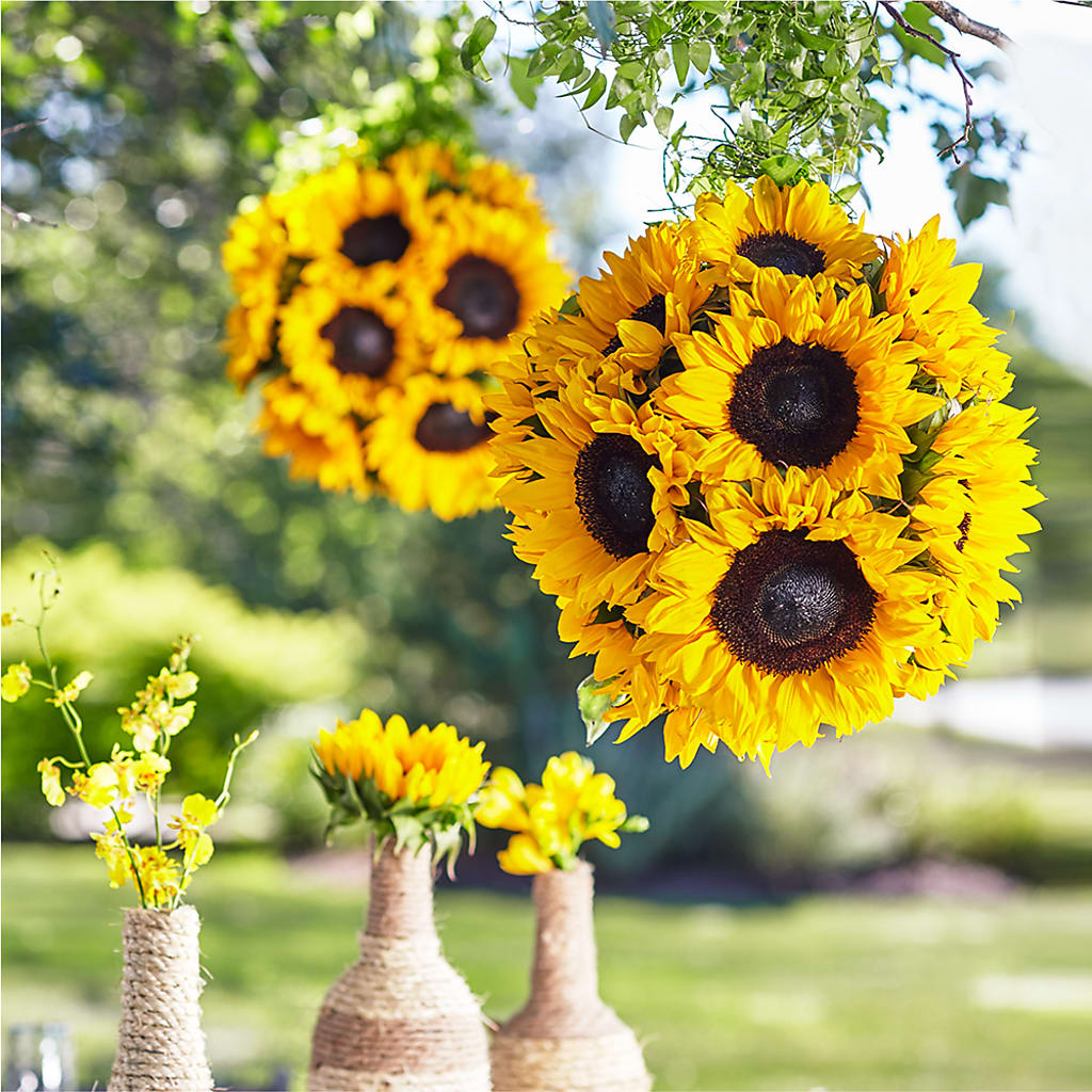 Sublime Garden Hanging Arrangement – My Enchanted Florist, Sandy Spring MD