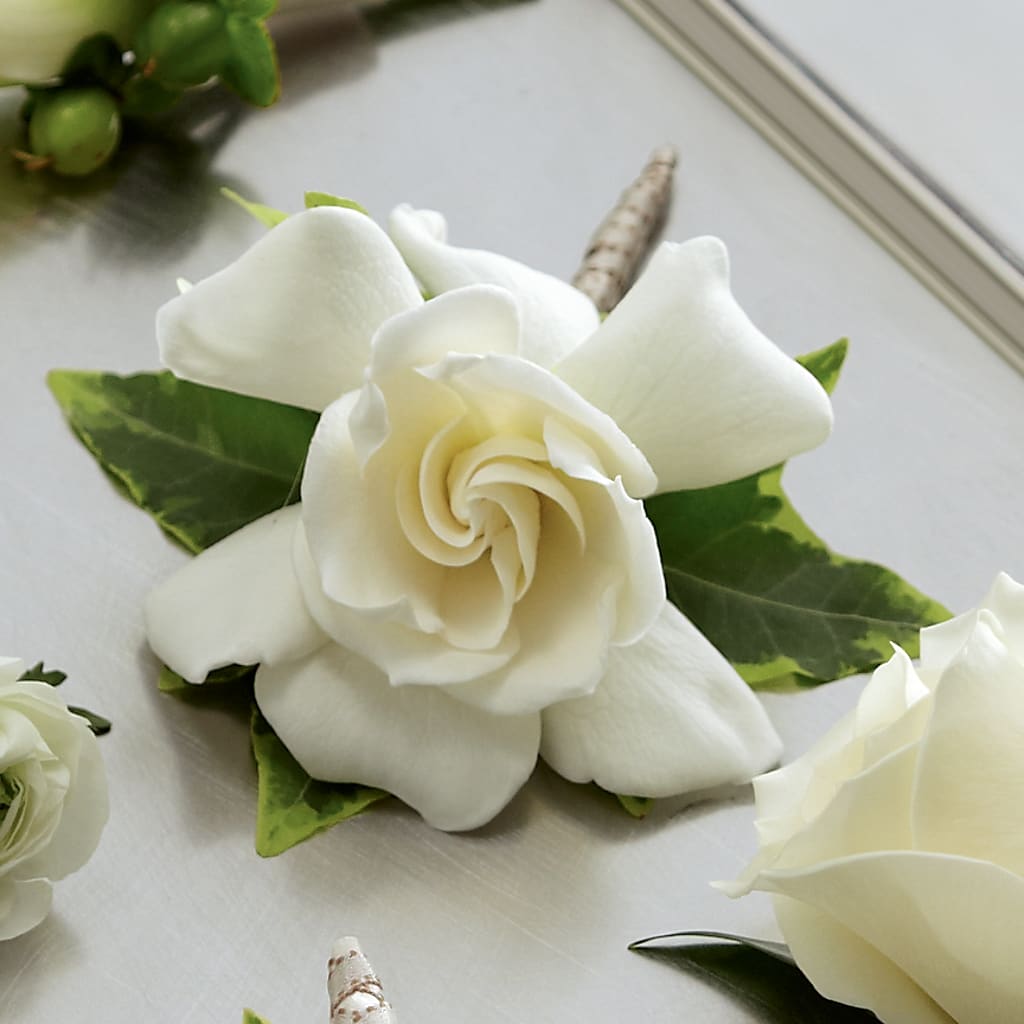 Gardenia Boutonniere – My Enchanted Florist, Sandy Spring MD