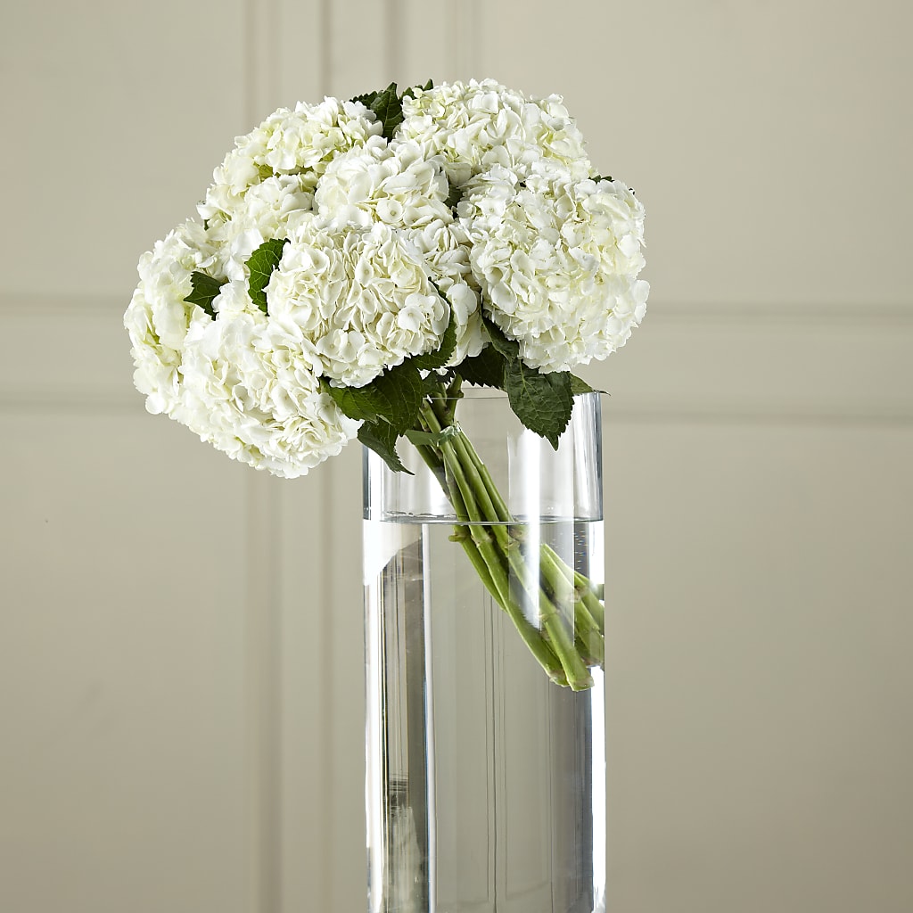 White Hydrangea Hand-Tied Bouquet – My Enchanted Florist, Sandy Spring MD