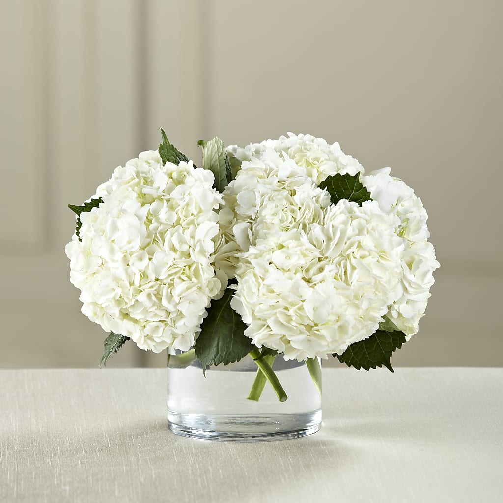 White Hydrangea Bouquet – My Enchanted Florist, Sandy Spring MD