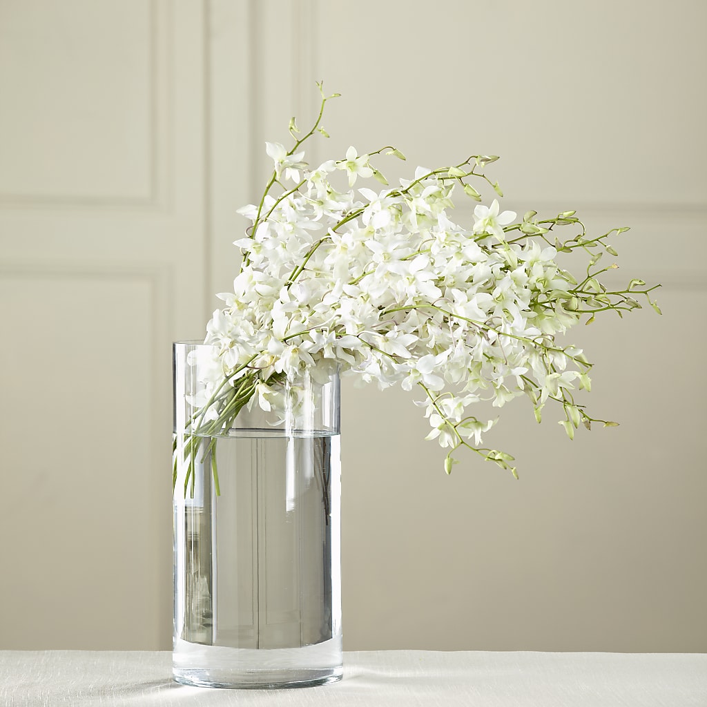 White Dendrobium Bouquet – My Enchanted Florist, Sandy Spring MD