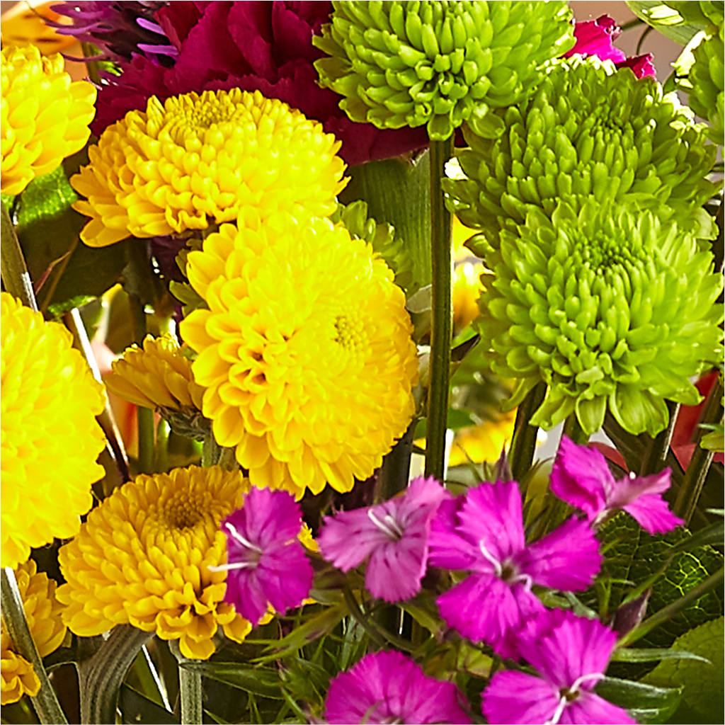 Bold & Bright – A Florist Original –  My Enchanted Florist, Sandy Spring MD
