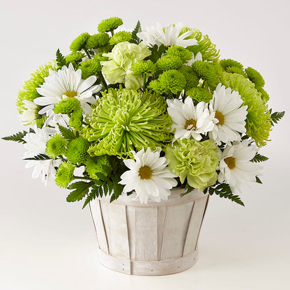 Lucky Charm Basket (Standard) –  My Enchanted Florist, Sandy Spring MD