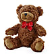 Adorable Plush Bear –  My Enchanted Florist, Sandy Spring MD
