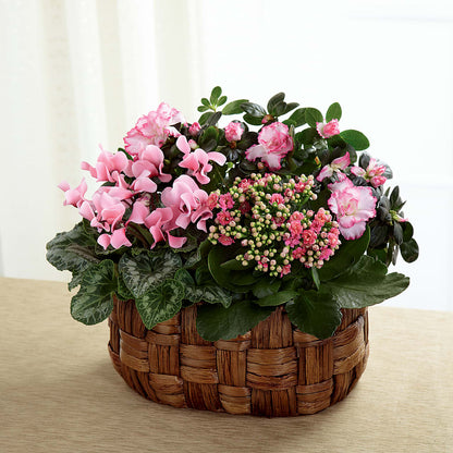 Pink Assortment –  My Enchanted Florist, Sandy Spring MD