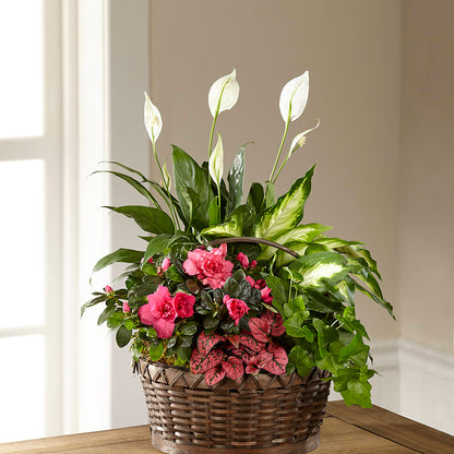 Dream in Pink Dishgarden –  My Enchanted Florist, Sandy Spring MD