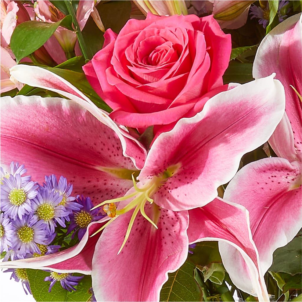 Written in the Stars Bouquet –  My Enchanted Florist, Sandy Spring MD