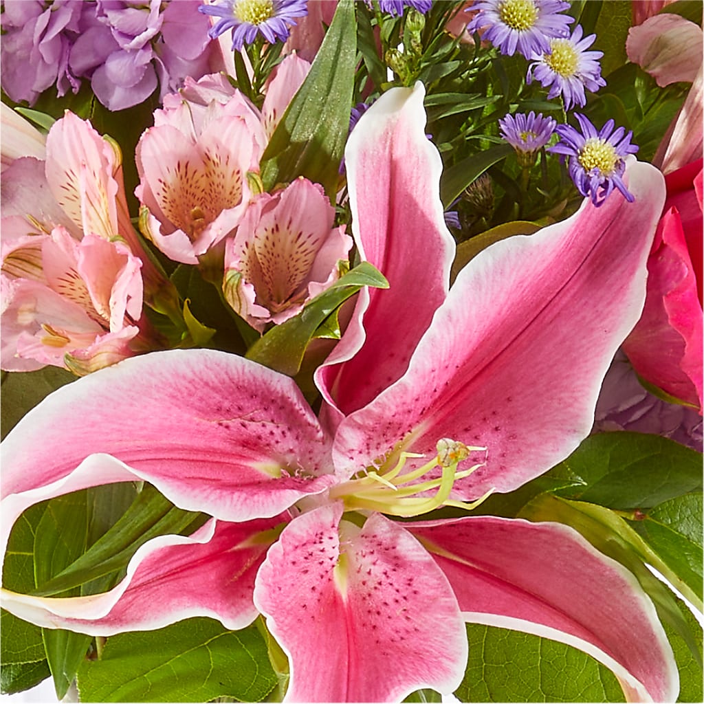Written in the Stars Bouquet –  My Enchanted Florist, Sandy Spring MD