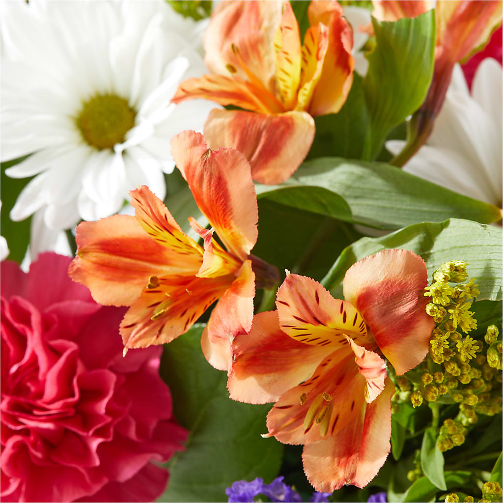 Oopsie Daisy Box Bouquet –  My Enchanted Florist, Sandy Spring MD