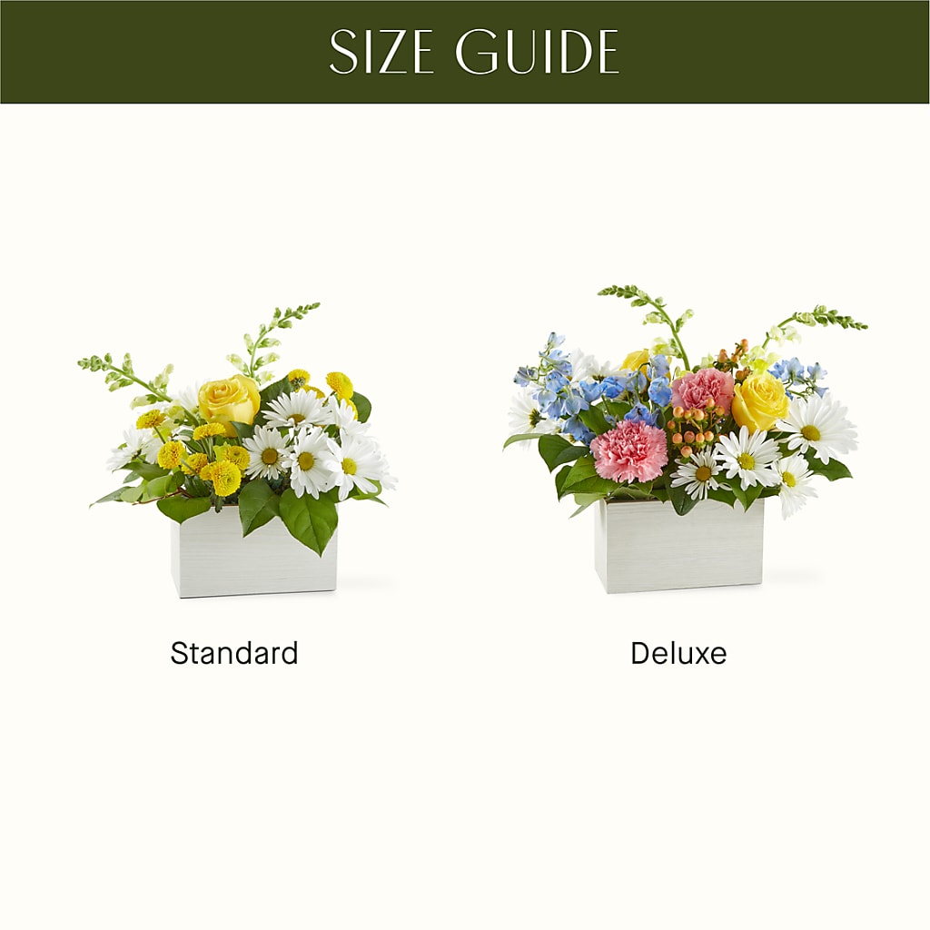 Sun Salutation Box Bouquet –  My Enchanted Florist, Sandy Spring MD