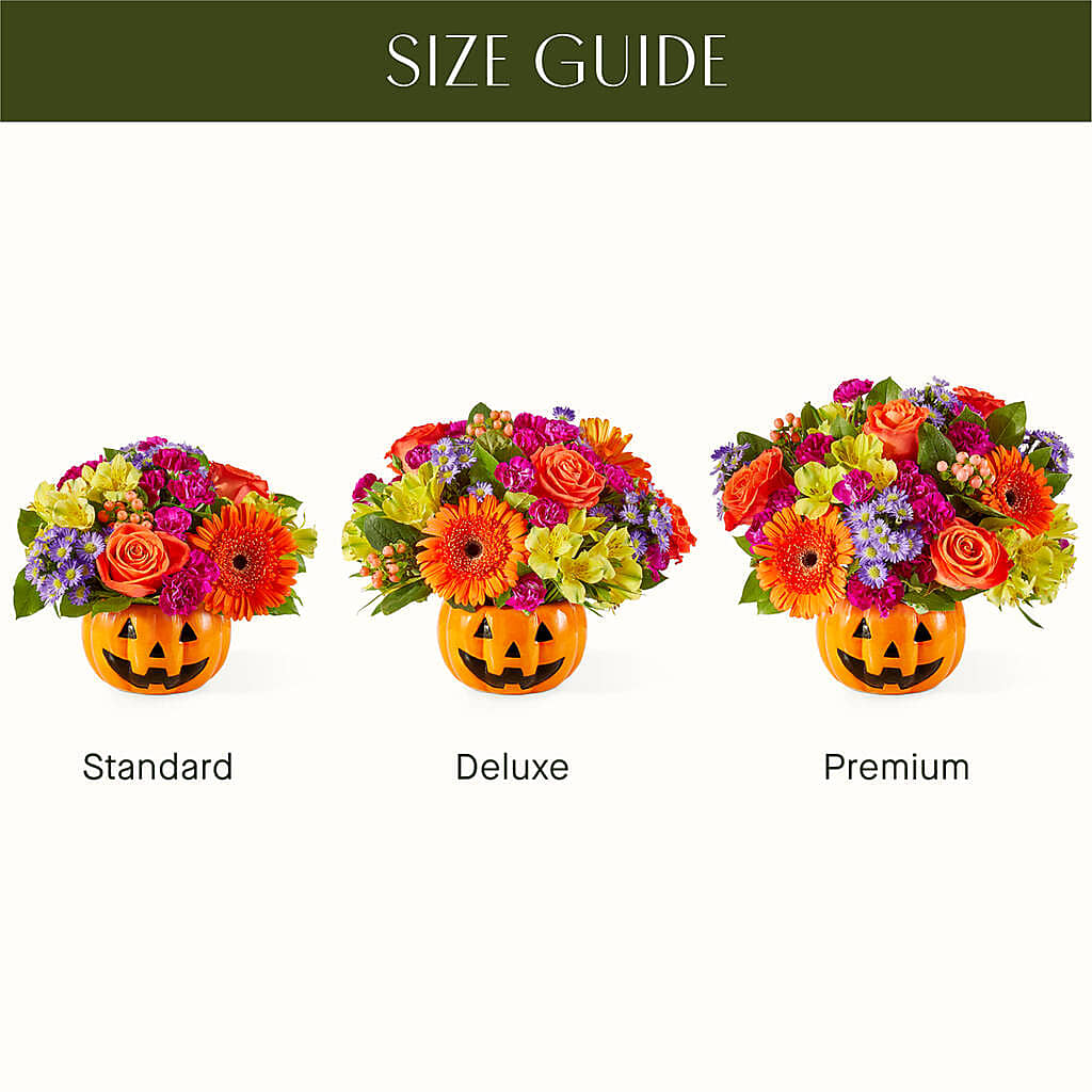 Tricks & Treats Pumpkin –  My Enchanted Florist, Sandy Spring MD