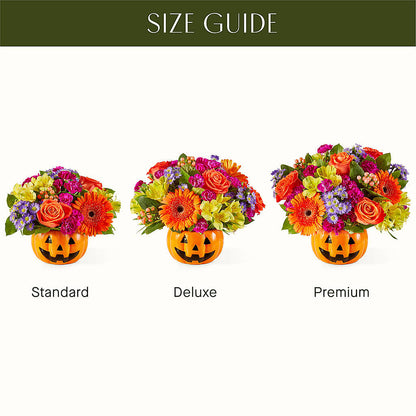 Tricks & Treats Pumpkin –  My Enchanted Florist, Sandy Spring MD