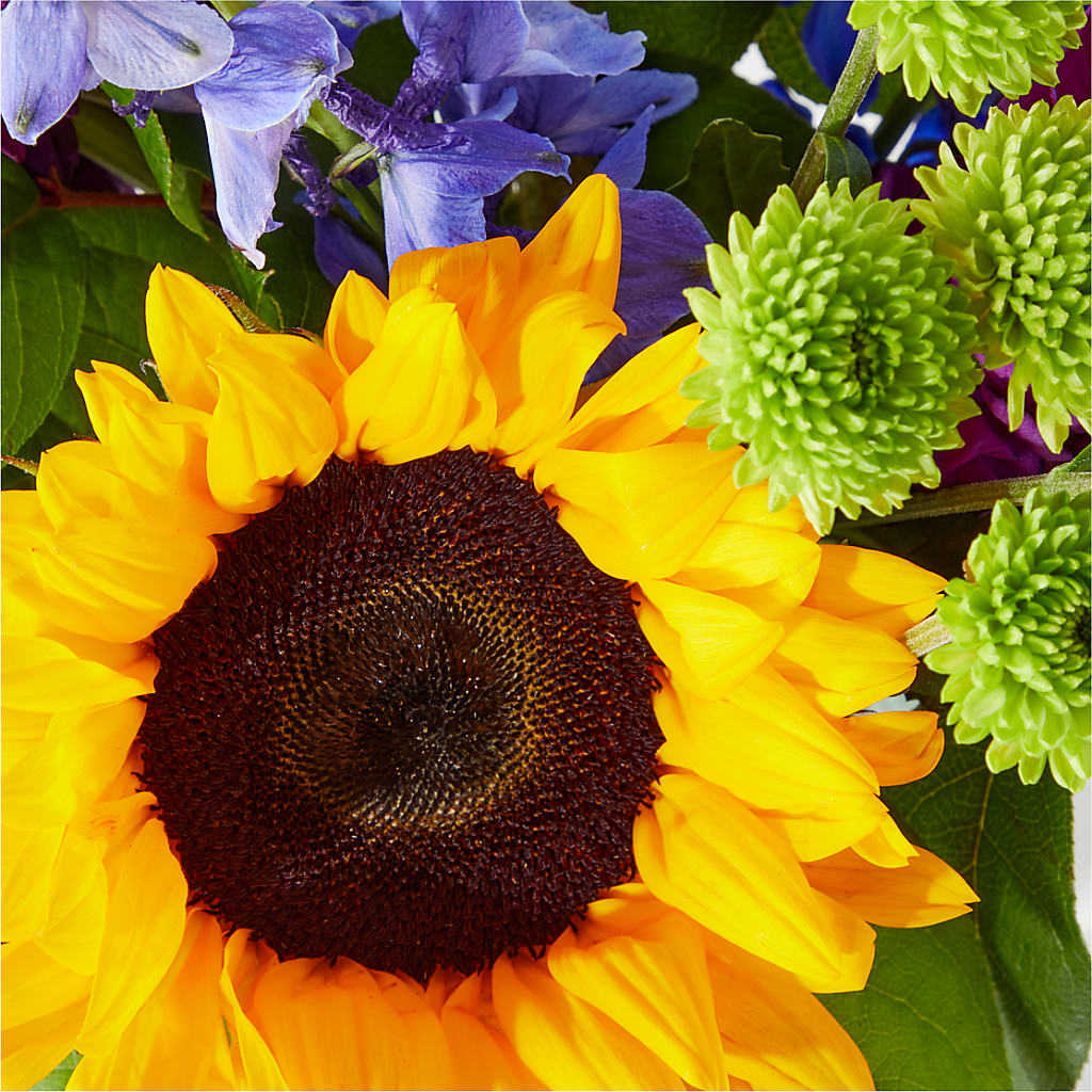 Catching Rays Bouquet –  My Enchanted Florist, Sandy Spring MD