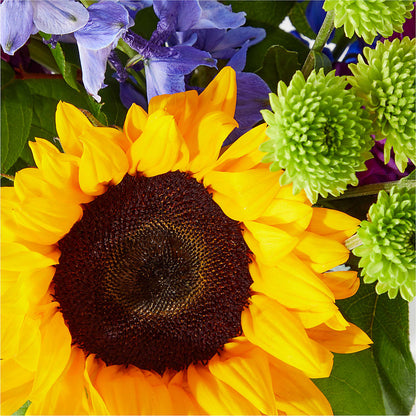 Catching Rays Bouquet –  My Enchanted Florist, Sandy Spring MD