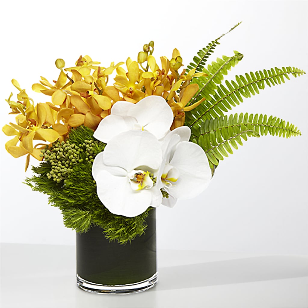 The Tropics –  My Enchanted Florist, Sandy Spring MD