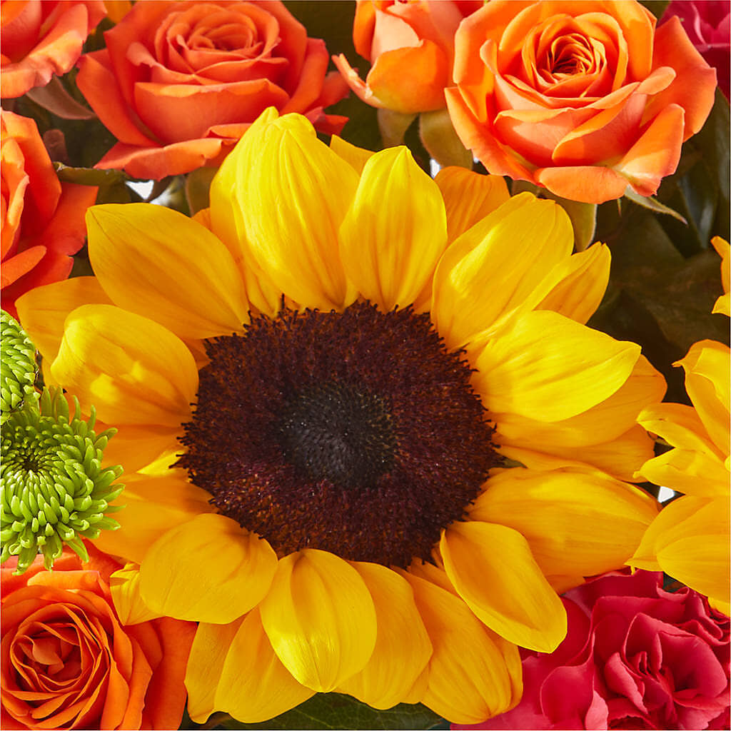 Sun-drenched Blooms Box Bouquet –  My Enchanted Florist, Sandy Spring MD