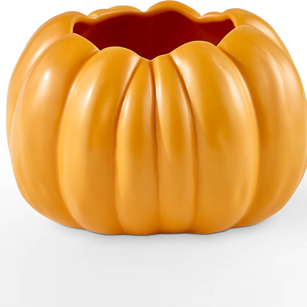 Golden Gourd Pumpkin Bouquet –  My Enchanted Florist, Sandy Spring MD