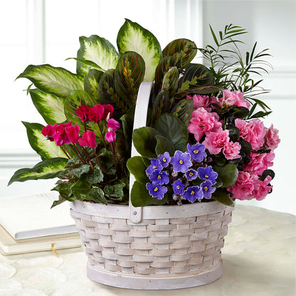 Peaceful Garden Planter –  My Enchanted Florist, Sandy Spring MD