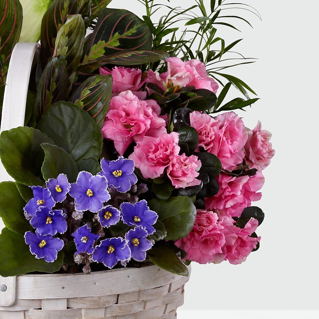 Peaceful Garden Planter –  My Enchanted Florist, Sandy Spring MD