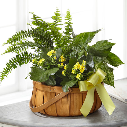 Always Dear Dishgarden –  My Enchanted Florist, Sandy Spring MD