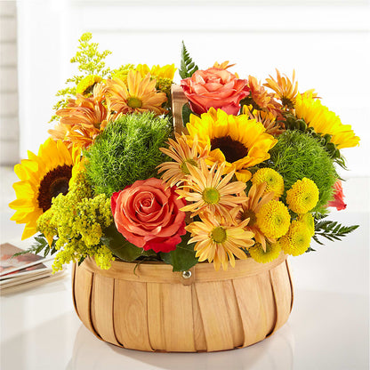 Harvest Sunflower Basket –  My Enchanted Florist, Sandy Spring MD
