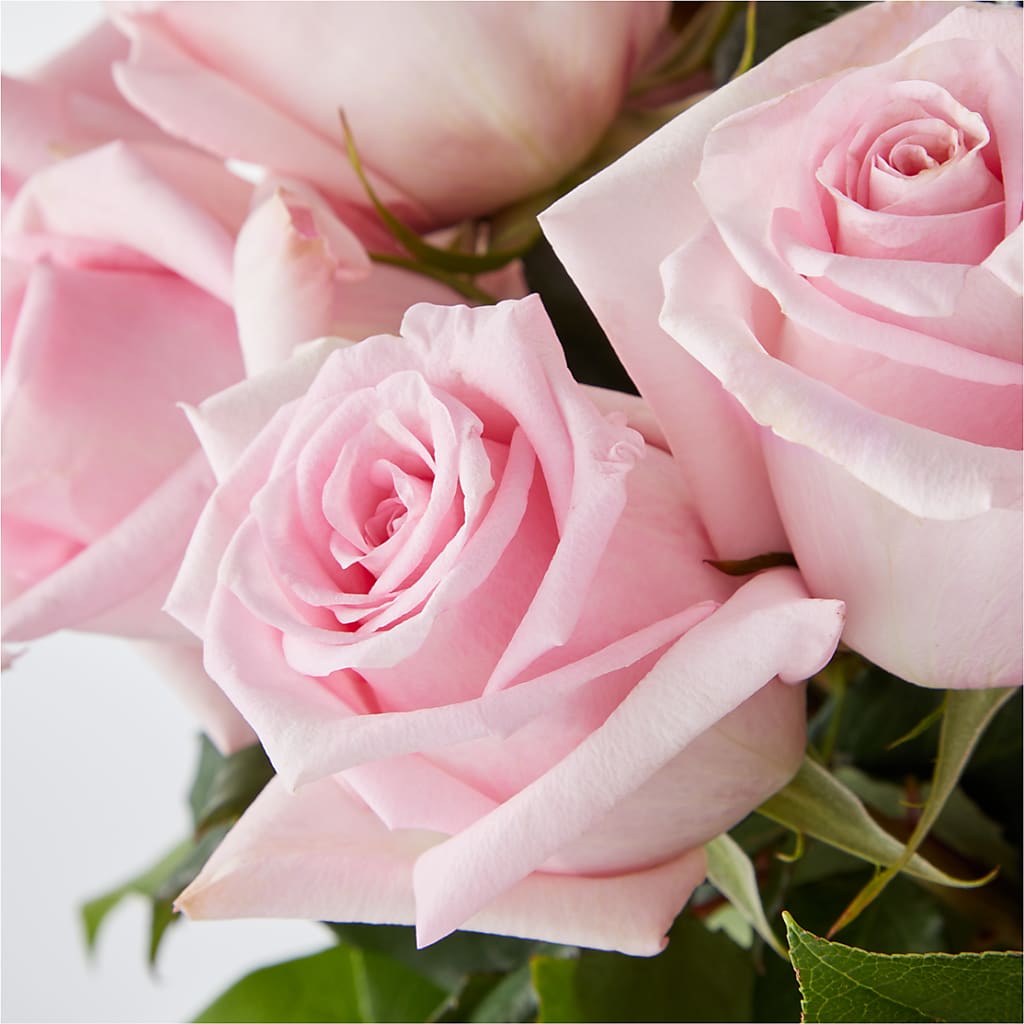 Picture Perfect Pink Rose Bouquet –  My Enchanted Florist, Sandy Spring MD