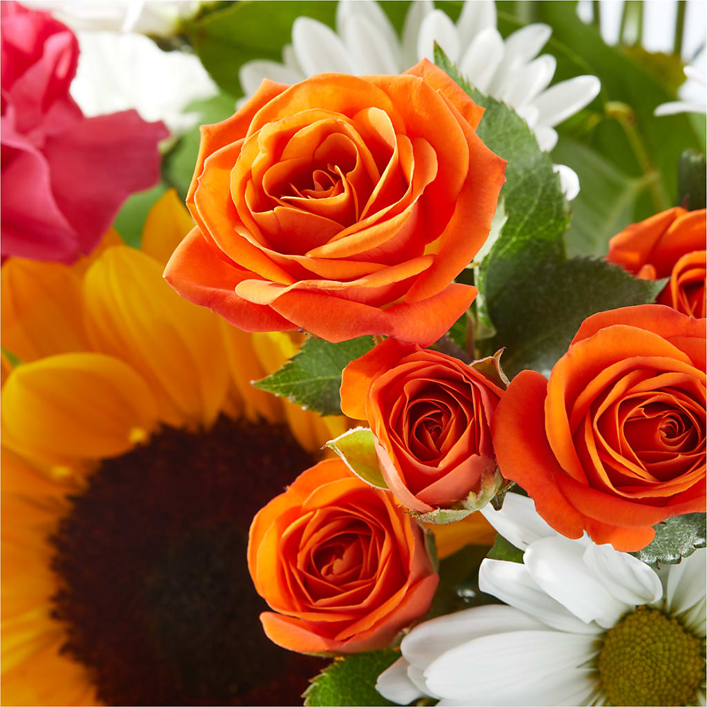 Sun-drenched Blooms Bouquet –  My Enchanted Florist, Sandy Spring MD