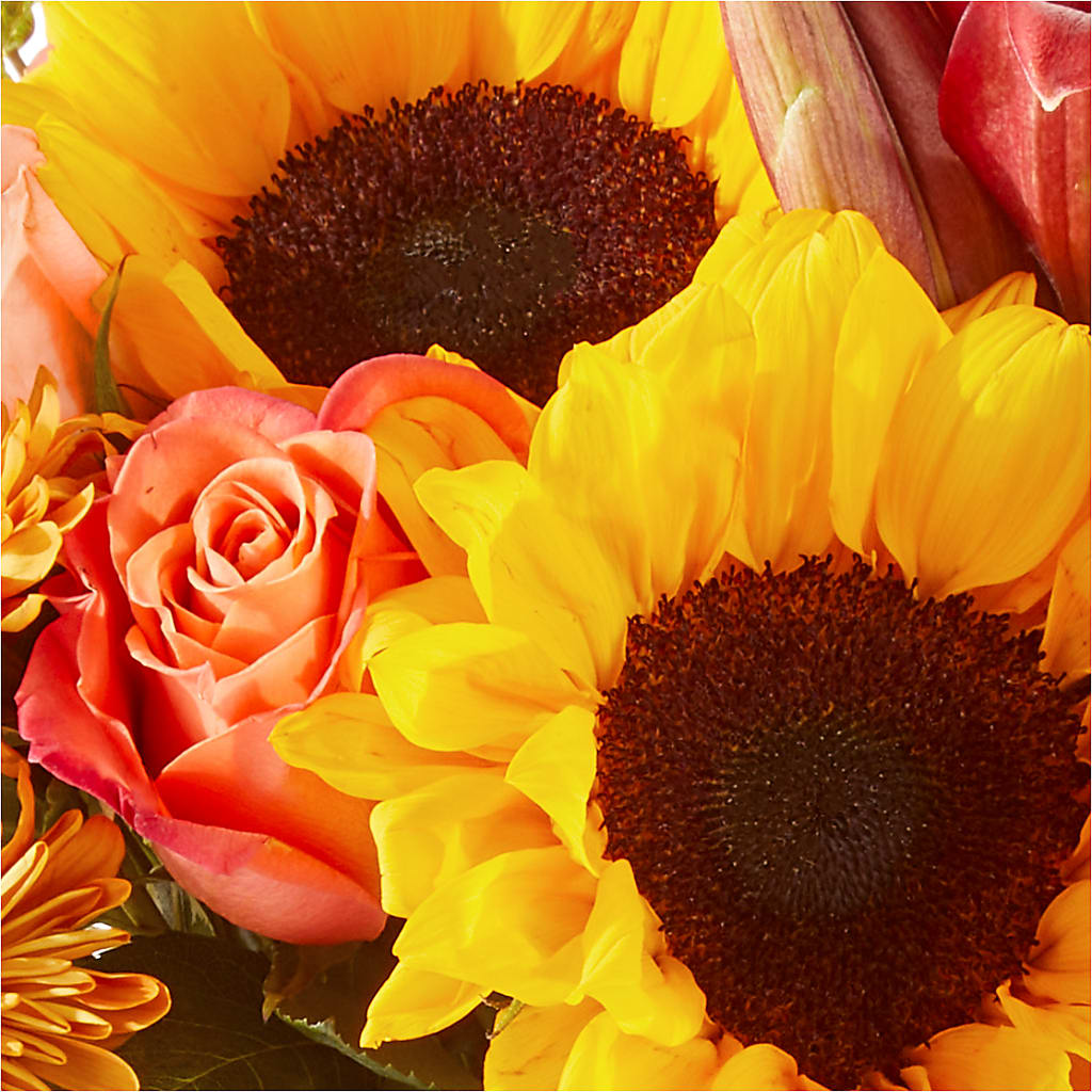 Acorn Lane Bouquet –  My Enchanted Florist, Sandy Spring MD