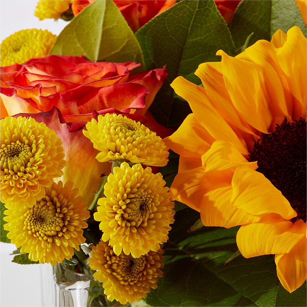 Picnic in the Park Bouquet –  My Enchanted Florist, Sandy Spring MD