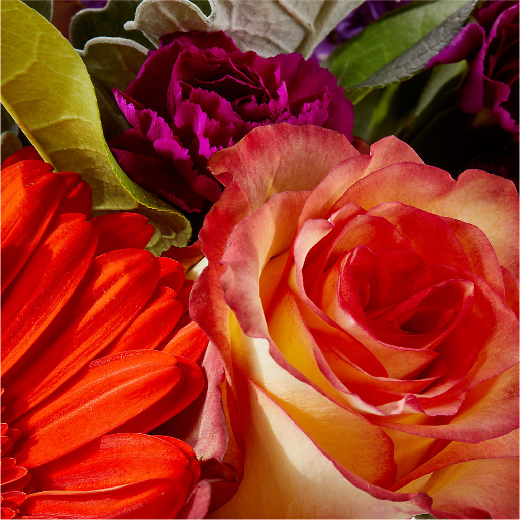 Sangria Bouquet –  My Enchanted Florist, Sandy Spring MD