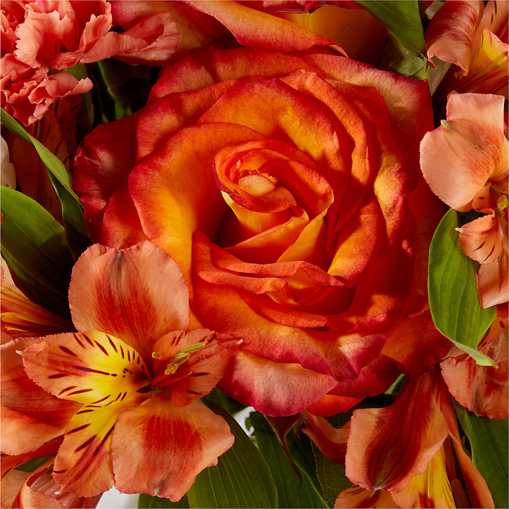 Apricot Glow Bouquet –  My Enchanted Florist, Sandy Spring MD