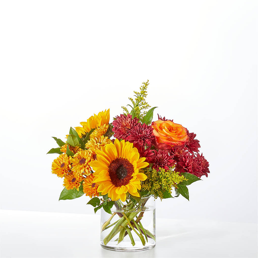 Flannel Scarf Bouquet –  My Enchanted Florist, Sandy Spring MD