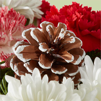 Candy Cane Lane Bouquet –  My Enchanted Florist, Sandy Spring MD