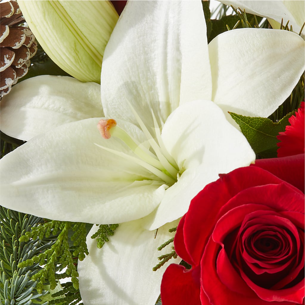 Oh So Jolly Bouquet –  My Enchanted Florist, Sandy Spring MD