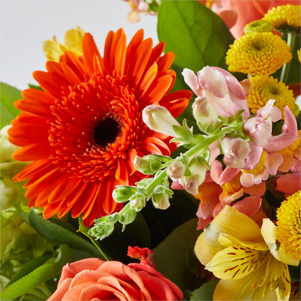 Autumn Sunshine Bouquet –  My Enchanted Florist, Sandy Spring MD